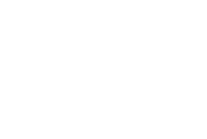 EAND.etisalat-logo-white